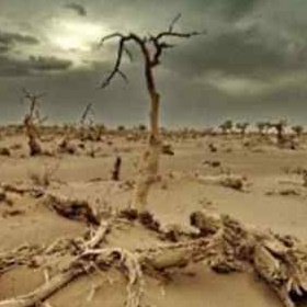 Imagen de Niños y niñas españoles tienen mucho que decir sobre el cambio climático