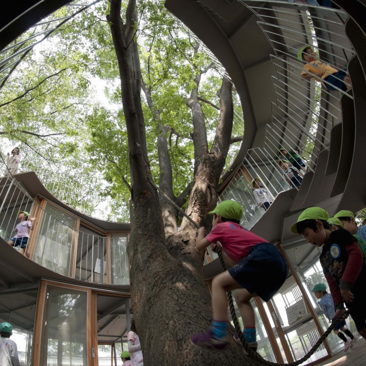 Un niño trepa un árbol en la guardería Fuji