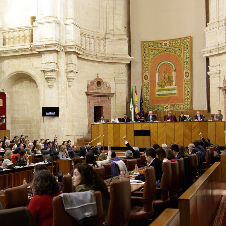 Imagen de Andalucía ya tiene su propia comisión parlamentaria para velar por la protección de la infancia