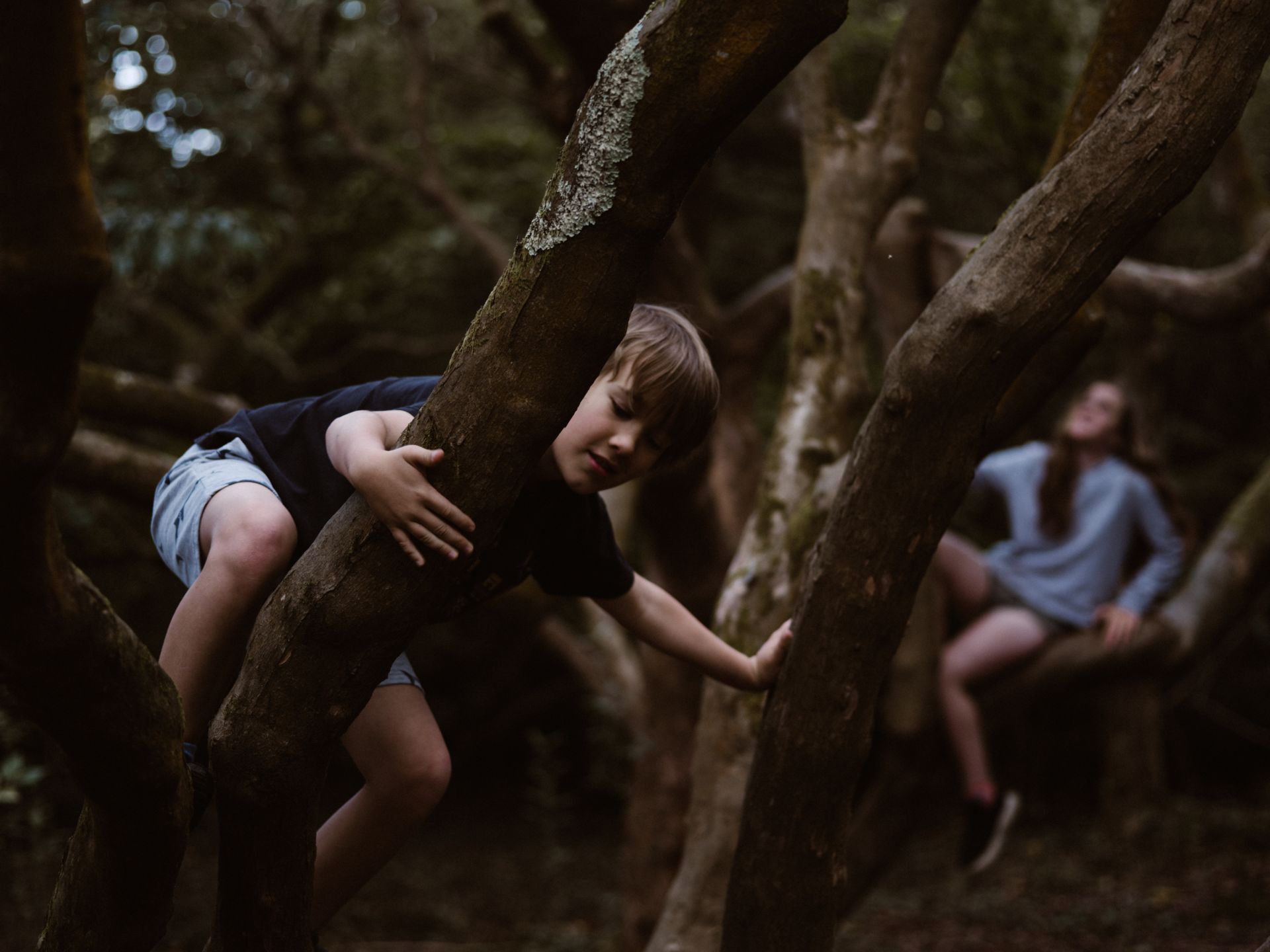 Imagen de Qué es el ‘déficit de naturaleza’ y cómo afecta a los niños y niñas