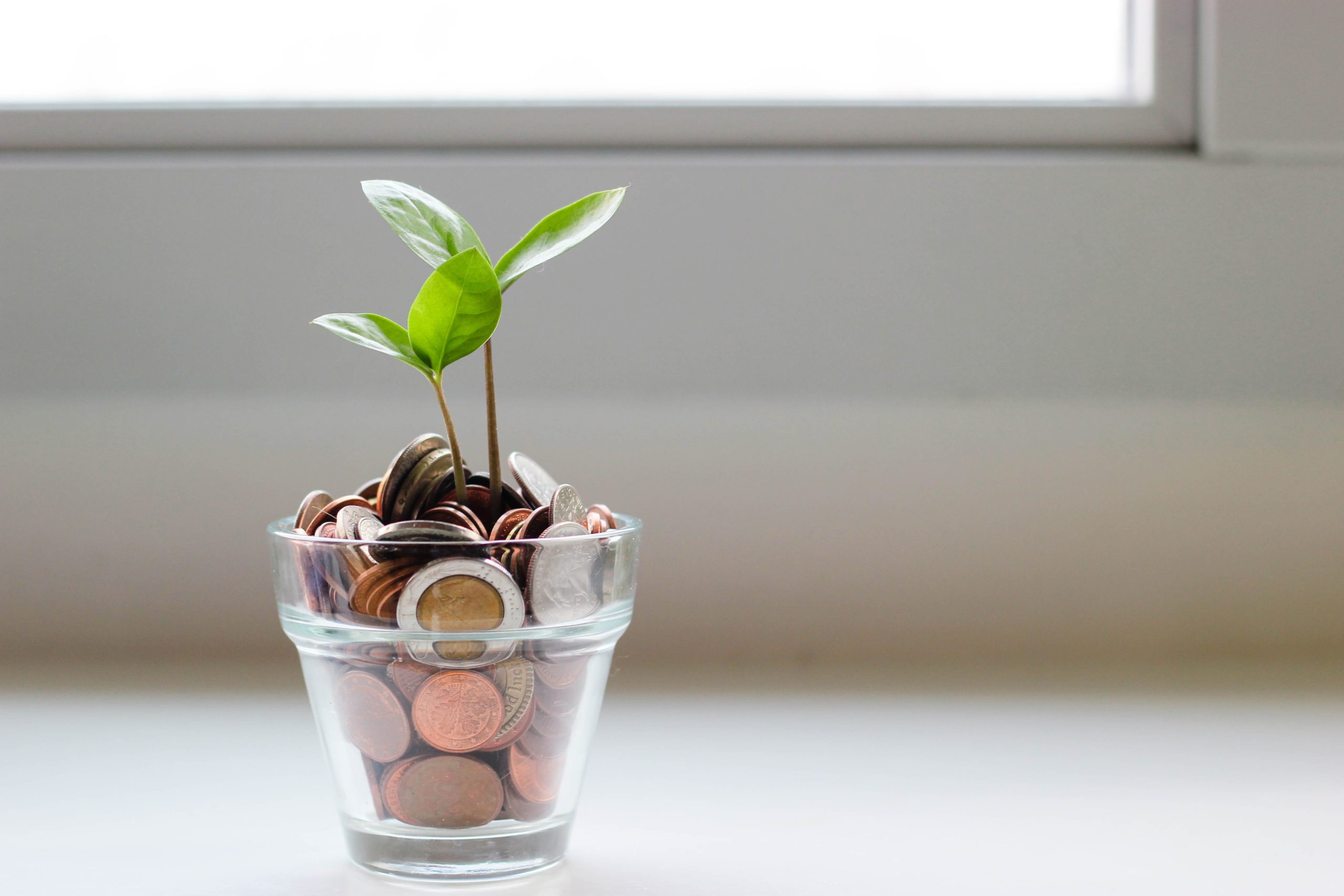 Presupuestos participativos infancia