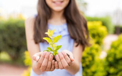 presupuestos participativos infancia