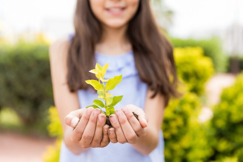 presupuestos participativos infancia