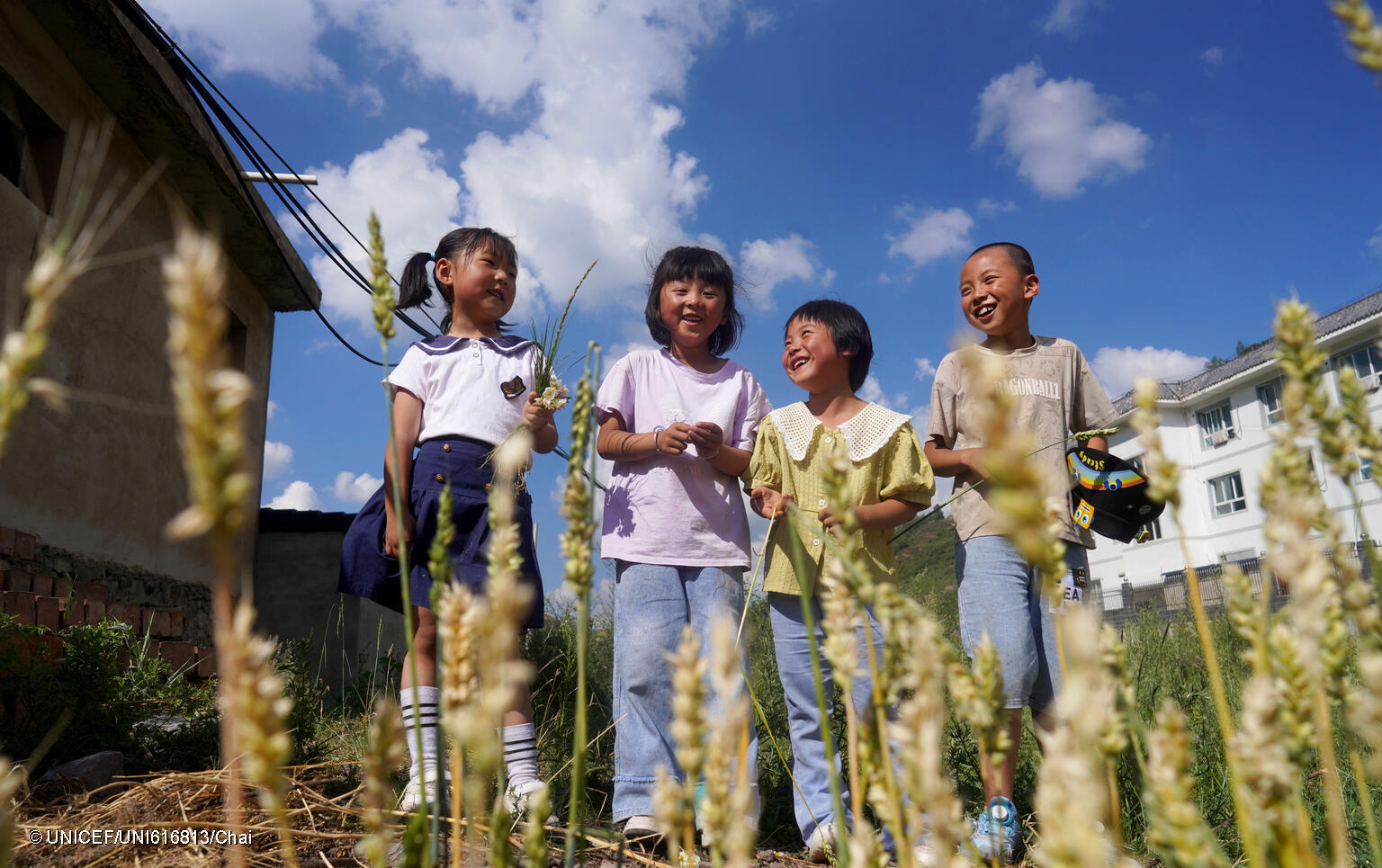 Children play at a wheat field in Dacaotan Village, Zhang County, Gansu Province on 1 August, 2023. UNICEF has been working with the All China Women’s Federation (ACWF) to set up early childhood development centres that support early learning and care for children aged 0-6 years in communities affected by migration. The programme helps caregivers support the development of their children through responsive caregiving and learning through play.